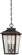 Irvington Manor - 3 Light Chain Hung Lantern (10|72174-189)