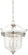 Audrey's Point - 3 Light Pendant (Convertible to Semi Flush) (10|3297-613)