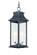 Vicksburg-Outdoor Hanging Lantern (19|30029CLBK)