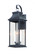 Vicksburg-Outdoor Wall Mount (19|30024CLBK)