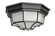 Crown Hill LED E26-Outdoor Flush Mount (19|67920BK)