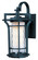 Oakville LED E26-Outdoor Wall Mount (19|65785WGBO)