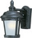 Dover LED E26-Outdoor Wall Mount (19|56096FSBZ)