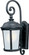Dover LED E26-Outdoor Wall Mount (19|56095FSBZ)