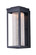 Salon LED-Outdoor Wall Mount (19|55904MSCBK)