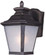 Knoxville LED-Outdoor Wall Mount (19|51123FSBZ)
