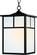 Coldwater-Outdoor Hanging Lantern (19|4058WTBK)