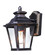 Knoxville-Outdoor Wall Mount (19|1133CLBZ)