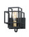 Liner-Wall Sconce (19|10241BKSBR)