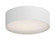 Prime-Flush Mount (19|10220WL)