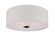 Bongo-Flush Mount (19|10010OMOI)