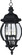 Crown Hill-Outdoor Hanging Lantern (19|1039BK)