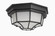 Crown Hill-Outdoor Flush Mount (19|1020BK)