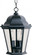 Westlake-Outdoor Hanging Lantern (19|1009BK)