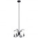 Cassadee 16'' 4 Light Convertible Pendant/Semi Flush in Black (2|52119BK)