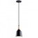 Danika 1 Light Mini Pendant Black (2|43682BK)