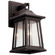 Taden 12.5'' 1 Light Wall Light Rubbed Bronze (2|49908RZ)