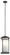 Outdoor Pendant 1Lt (2|49689OZ)