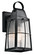 Tolerand 12'' 1 Light Outdoor Wall Light with Clear Seeded Glass in Textured Black (2|49552BKT)