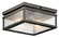 Outdoor Ceiling 2Lt (2|49389OZ)