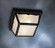 Outdoor Ceiling 1Lt (2|9320BK)