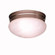Flush Mount 2Lt (2|8209NI)