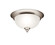 Flush Mount 2Lt (2|8064NI)