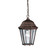 Outdoor Pendant 1Lt (2|9805TZ)
