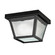 Outdoor Ceiling 1Lt (12 pack) (2|365BK)