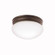 Flush Mount 2Lt (2|209OZ)