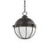 Sumner Pendant (57|2312-OB)