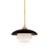 Barron Pendant (57|1010-AGB)