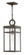 Medium Hanging Lantern (87|2802OZ)
