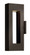 Medium Narrow LED Wall Sconce (87|1640BZ-LED)