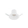 BLAZE 6IN RND DOWNLIGHT REMODEL 5CCT (1357|R6DRDR-F9CS-WT)