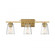 Calhoun 3-Light Bathroom Vanity Light in Warm Brass (128|8-1020-3-322)