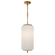 Eden Medium Pendant (279|TOB 5160HAB-WG)