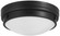 2 Light Flush Mount (10|823-66A)