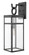 Large Wall Mount Lantern (87|2805DZ-LL)