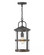 Medium Hanging Lantern (87|2682DZ-LL) Medium Hanging Lantern (87|2682DZ-LL)