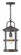 Medium Hanging Lantern (87|2682DZ-LL)