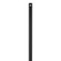 12'' Coastal Downrod in Midnight Black (6|DRC12MBK)