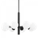 Stella Chandelier (6939|H105808-OB)
