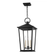 Soren Exterior Pendant (52|F8911-TBK)