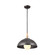 Thera 14'' 1 Light Pendant Anvil Iron (2|52476AVI)