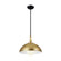 Pendant 1Lt (2|52476NBR)