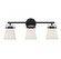 Kaden 3-Light Bathroom Vanity Light in Matte Black (128|8-1627-3-BK)