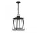 Denver 1-Light Outdoor Hanging Lantern in Matte Black (128|5-2025-BK)