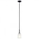 Mini Pendant 1Lt (2|43674BK)