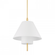 Glenmoore Pendant (57|PI1899701-AGB)